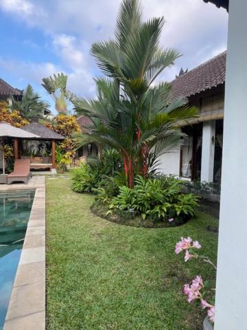 Villa Exotica Ubud